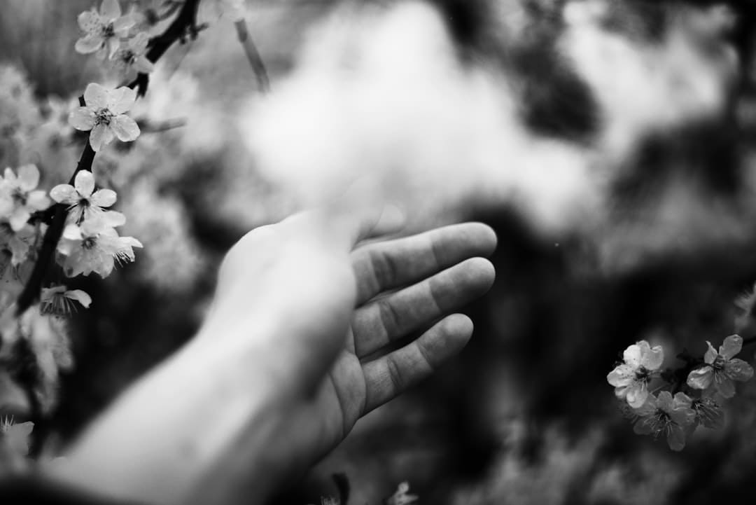 织女看了都点赞 传承非遗才是七夕的“躲藏大招”｜我的节节·七夕篇